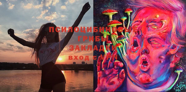 прущие грибы Алексин