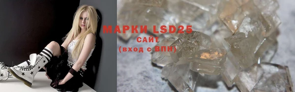 прущие грибы Алексин