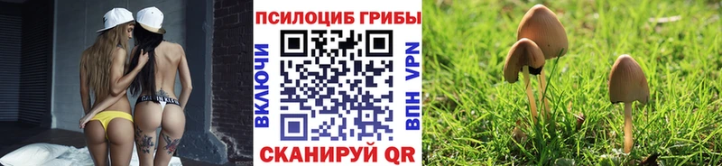 Псилоцибиновые грибы мухоморы  Гусь-Хрустальный 